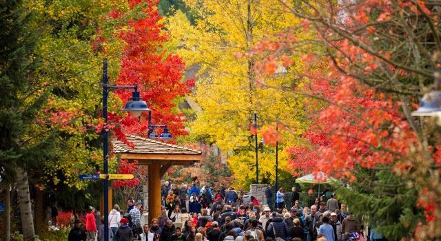 Fall Adventures You Can Have Right From Your Hotel