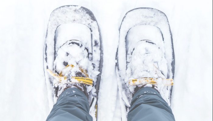 A Guide To Snowshoeing In Whistler